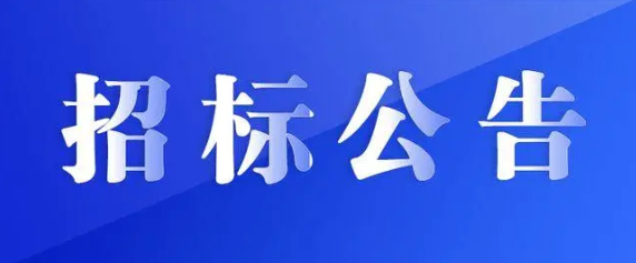 江西長運集團戰(zhàn)略規(guī)劃咨詢服務(wù)采購項目競爭性磋商公告